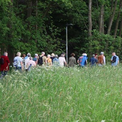 Entspannte Spaziergänge - jeden Dienstag um 14:30 Uhr.