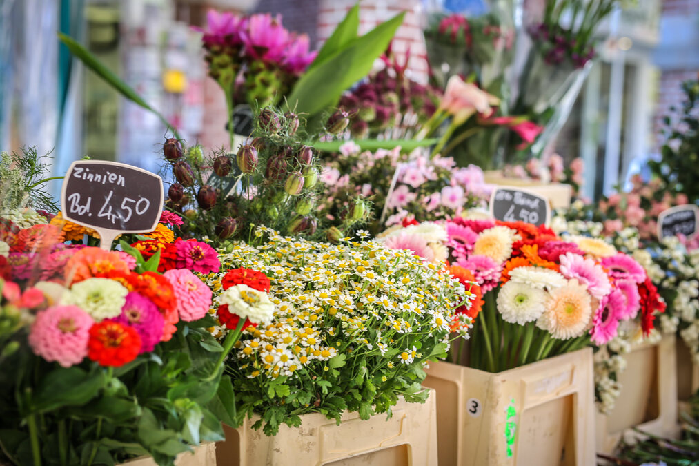 121117967_1053950925064363_1551083227037416552_o 121117967_1053950925064363_1551083227037416552_o