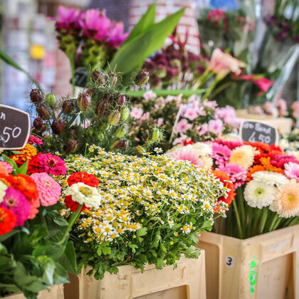 121117967_1053950925064363_1551083227037416552_o